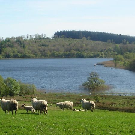 Moybrone Flat Daire Enniskillen Dış mekan fotoğraf